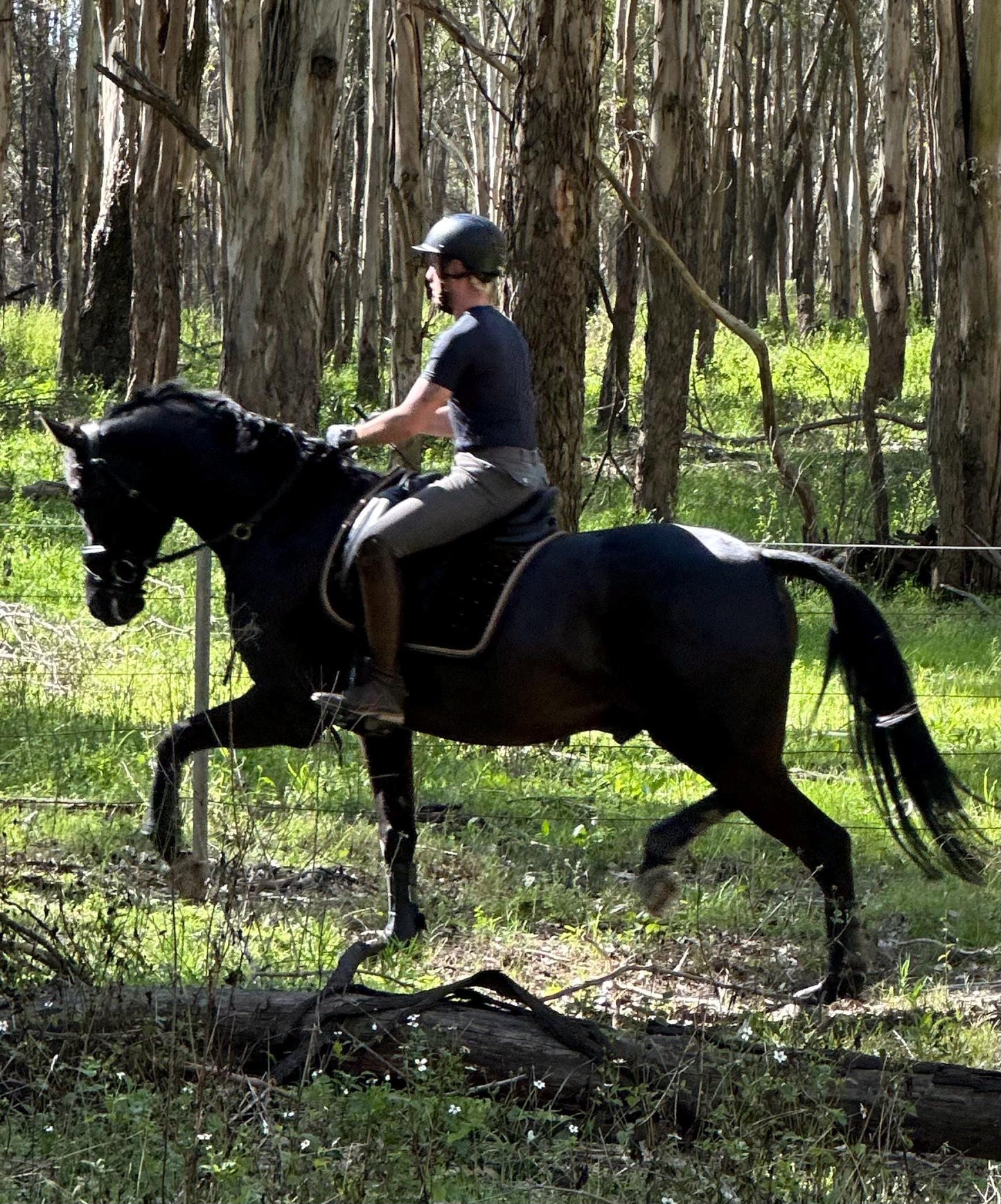 Equine Evolution Stabilising Martingale (rope)