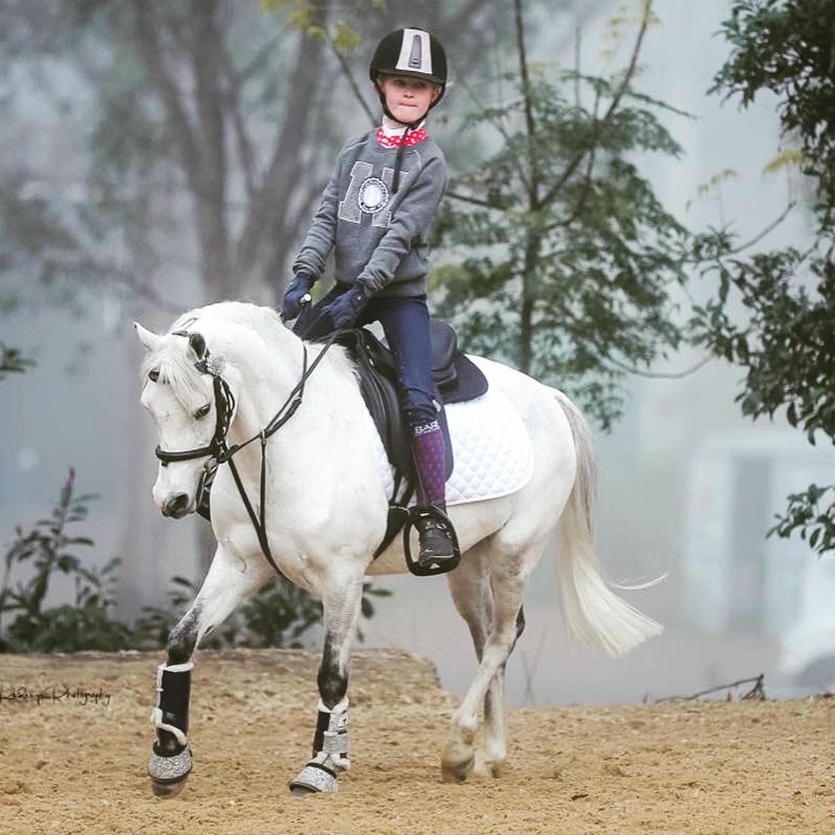 Equine Evolution Stabilising Martingale (rope)