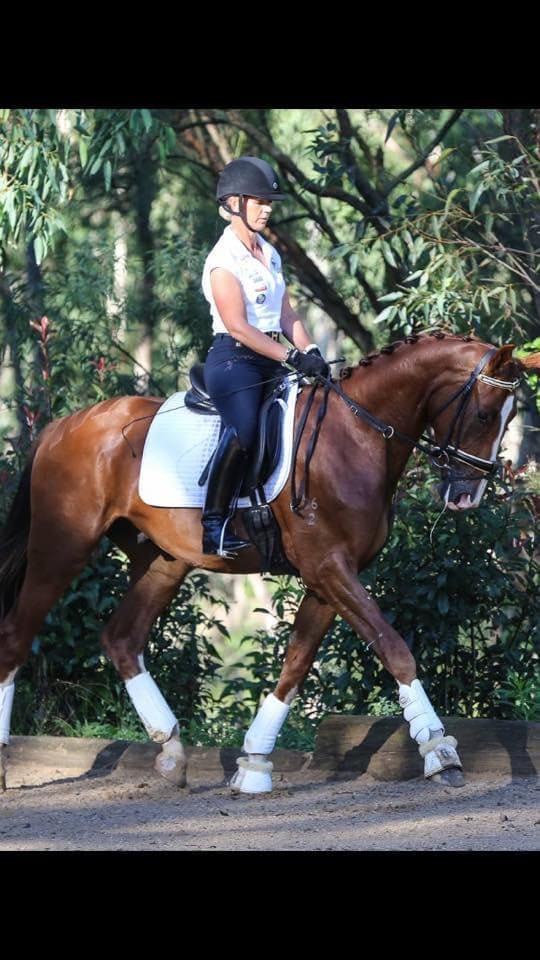 Equine Evolution Stabilising Martingale (rope)