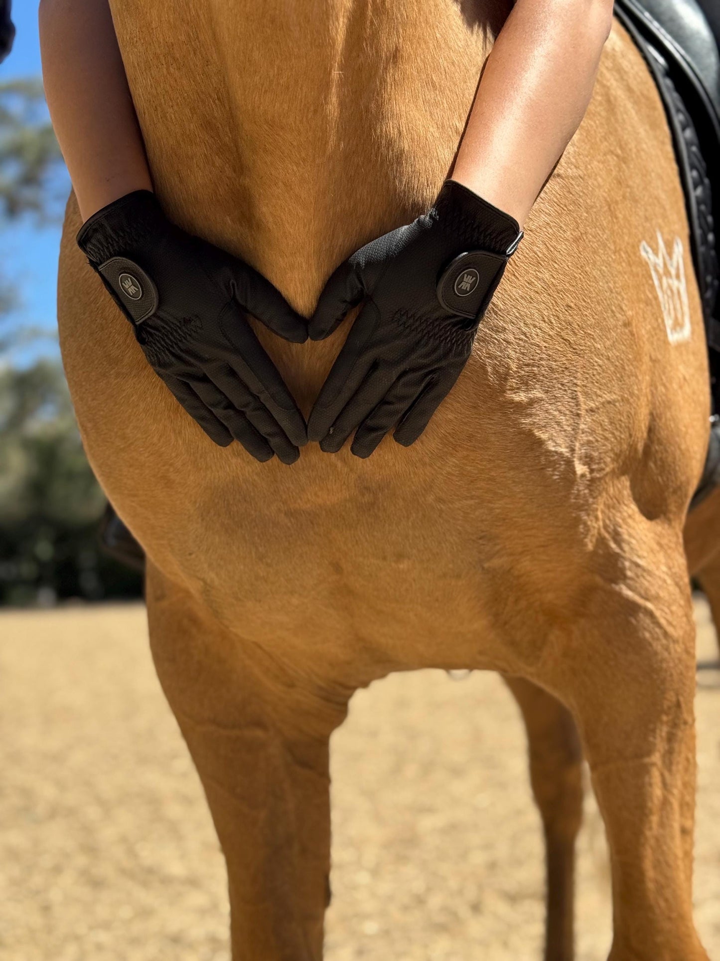 Equine Evolution Technical Soft Touch Gloves (standard colours available)