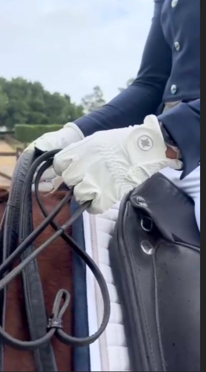 Equine Evolution Technical Soft Touch Gloves (standard colours available)