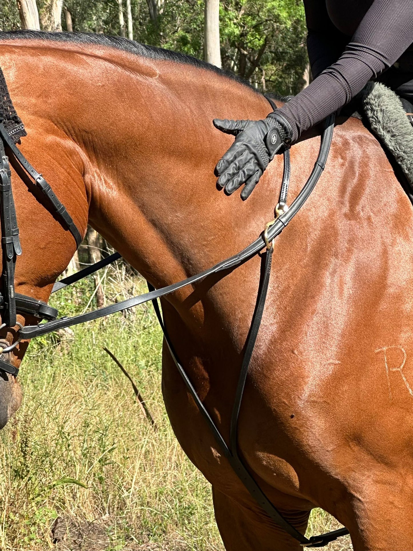 Equine Evolution Stabilising Martingale (leather)