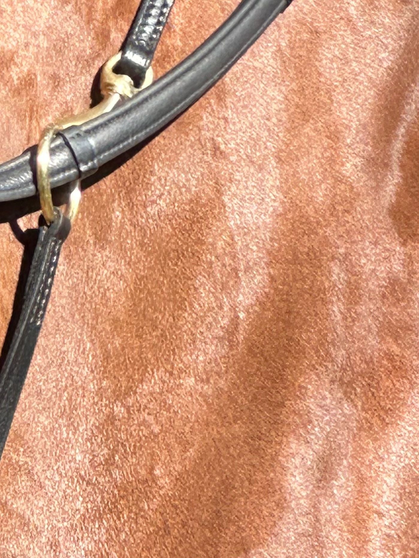 Equine Evolution Stabilising Martingale (leather)